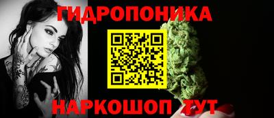 крисы Апрелевка
