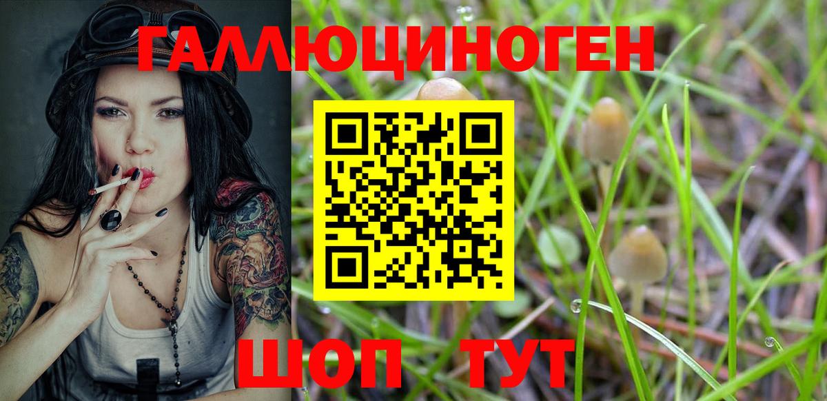 Борисоглебск  Галлюциногенные грибы мицелий  Вход с VPN 
