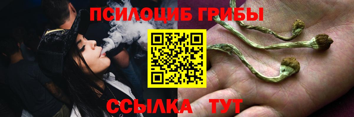 Галлюциногенные грибы мухоморы Борисоглебск