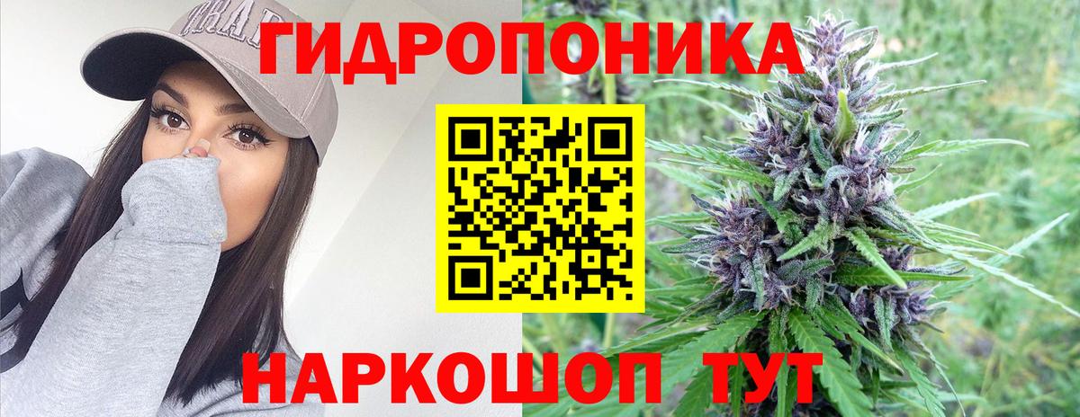 Бошки Шишки конопля  Вход с VPN  МАРИХУАНА план  Борисоглебск  Марихуана планчик 